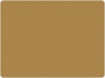 5516 pe inca gold